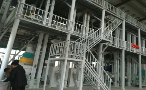 如何掌握玉米加工機(jī)械的喂料方式提高產(chǎn)量?(圖1) 玉米加工機(jī)械